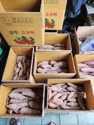 금제섭님의 그동안 생산한 농작물은? · 참여글 작성글 사진