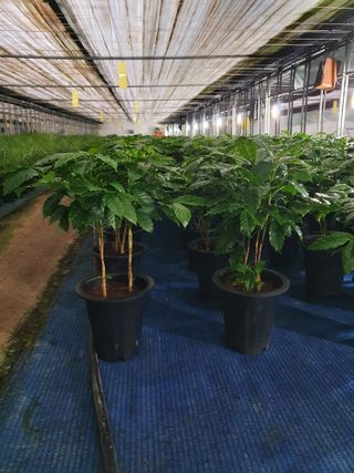 최영수님의 그동안 생산한 농작물은? · 참여글 작성글 사진