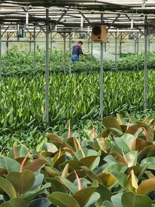 최영수님의 그동안 생산한 농작물은? · 참여글 작성글 사진