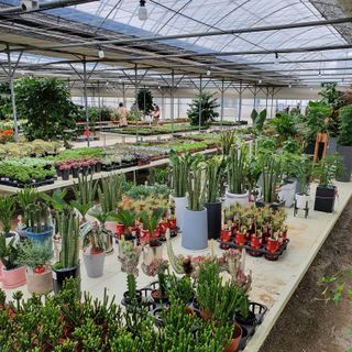 최영수님의 그동안 생산한 농작물은? · 참여글 작성글 사진