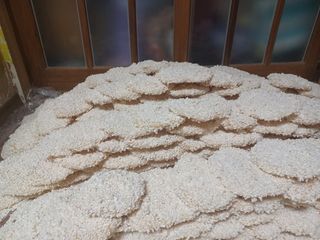 농장주되는게꿈님의 그동안 생산한 농작물은? · 참여글 작성글 사진