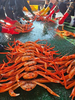 노가네수산님의 우리동네 · 동네정보 작성글 사진