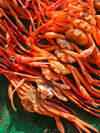 노가네수산님의 우리동네 · 동네정보 작성글 사진