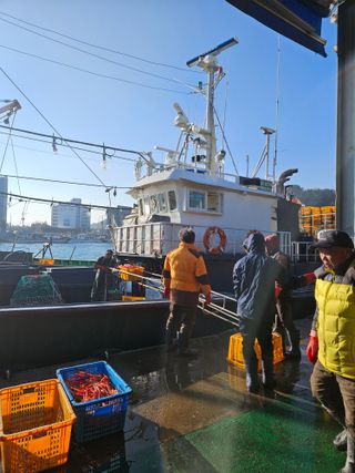 노가네수산님의 우리동네 · 동네정보 작성글 사진