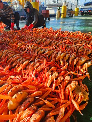 노가네수산님의 우리동네 · 동네정보 작성글 사진