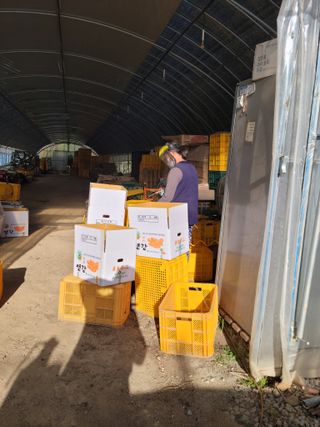 박태영님의 그동안 생산한 농작물은? · 참여글 작성글 사진