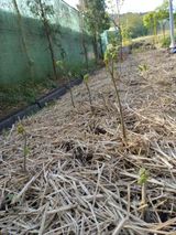 팜모닝 그동안 생산한 농작물은?·참여글 게시글 이미지