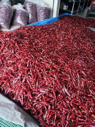 임영택님의 그동안 생산한 농작물은? · 참여글 작성글 사진