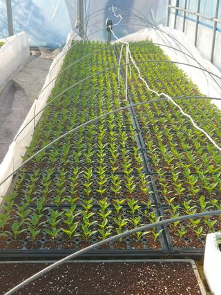 임영택님의 그동안 생산한 농작물은? · 참여글 작성글 사진