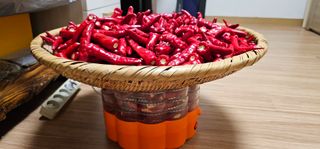 실크로드님의 그동안 생산한 농작물은? · 참여글 작성글 사진