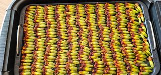 실크로드님의 그동안 생산한 농작물은? · 참여글 작성글 사진