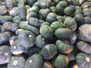 고흥거금도농부님의 그동안 생산한 농작물은? · 참여글 작성글 사진