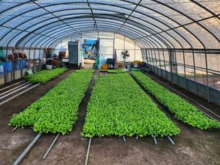 고흥거금도농부님의 그동안 생산한 농작물은? · 참여글 작성글 사진