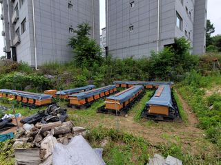 춘천바람개비님의 그동안 생산한 농작물은? · 참여글 작성글 사진