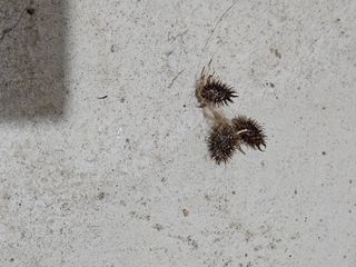 송운님의 자유주제 · 자유게시판 작성글 사진