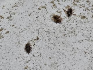 송운님의 자유주제 · 자유게시판 작성글 사진