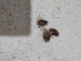 송운님의 자유주제 · 자유게시판 작성글 사진