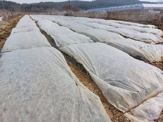 장순봉님의 그동안 생산한 농작물은? · 참여글 작성글 사진