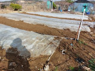 장순봉님의 그동안 생산한 농작물은? · 참여글 작성글 사진