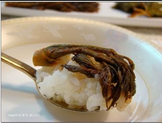 알 수 없음님의 두릅 · 일상 작성글 사진