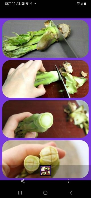 알 수 없음님의 두릅 · 일상 작성글 사진