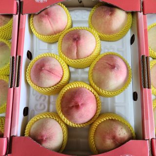 김은경님의 그동안 생산한 농작물은? · 참여글 작성글 사진