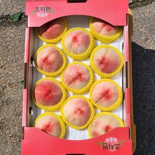 김은경님의 그동안 생산한 농작물은? · 참여글 작성글 사진