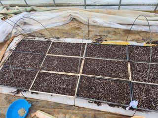 팜블리분매리농윈님의 고추 · 영농일지 작성글 사진