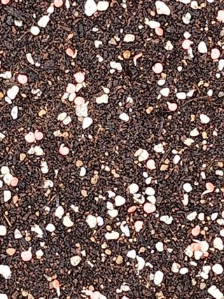 팜블리분매리농윈님의 고추 · 영농일지 작성글 사진