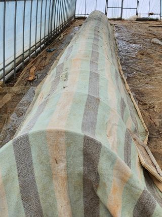 팜블리분매리농윈님의 고추 · 영농일지 작성글 사진