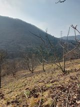 팜모닝 기타작물·자유게시판 게시글 이미지