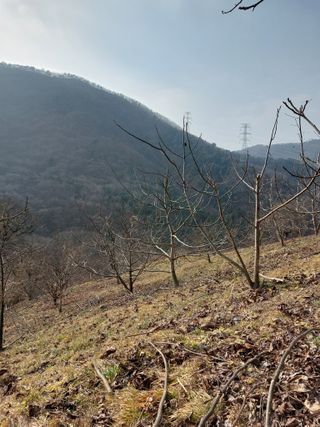 최종일님의 기타작물 · 자유게시판 작성글 사진