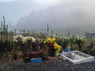 이경희님의 그동안 생산한 농작물은? · 참여글 작성글 사진