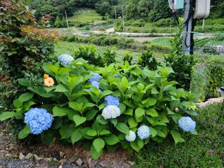 이경희님의 그동안 생산한 농작물은? · 참여글 작성글 사진