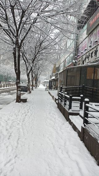 황토와 허브-끄레아님의 자유주제 · 자유게시판 작성글 사진