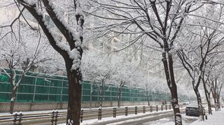 황토와 허브-끄레아님의 자유주제 · 자유게시판 작성글 사진