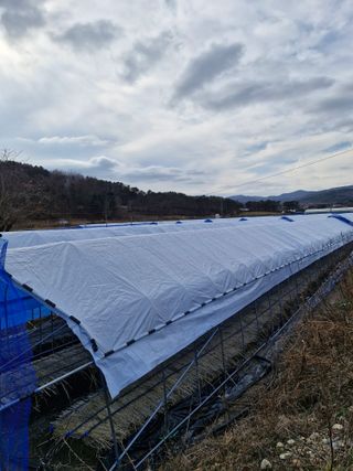 문제민님의 자유주제 · 자유게시판 작성글 사진