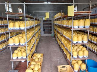 채정식님의 그동안 생산한 농작물은? · 참여글 작성글 사진