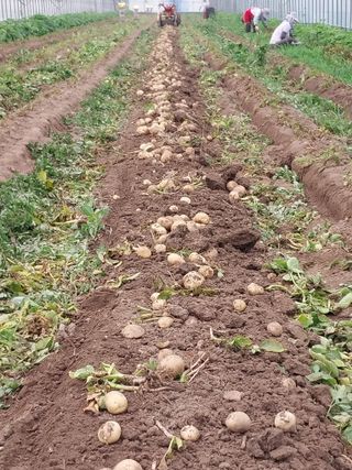 김창순님의 그동안 생산한 농작물은? · 참여글 작성글 사진