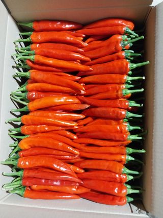 김창순님의 그동안 생산한 농작물은? · 참여글 작성글 사진