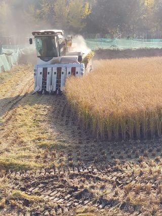 김창순님의 그동안 생산한 농작물은? · 참여글 작성글 사진