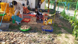 동읍초보임화영님의 그동안 생산한 농작물은? · 참여글 작성글 사진