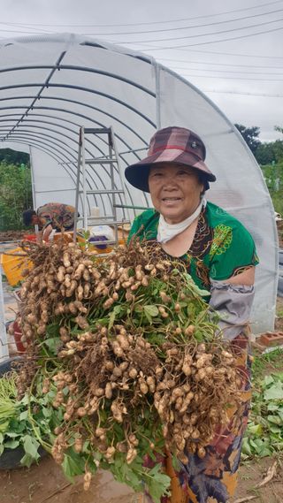 동읍초보임화영님의 그동안 생산한 농작물은? · 참여글 작성글 사진