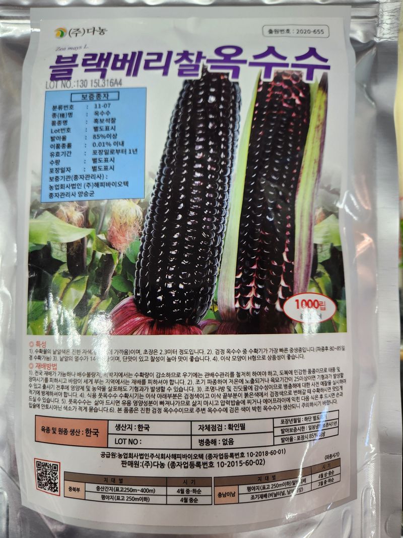 장터 상품 [블랙베리찰옥수수 1000립 ] 썸네일