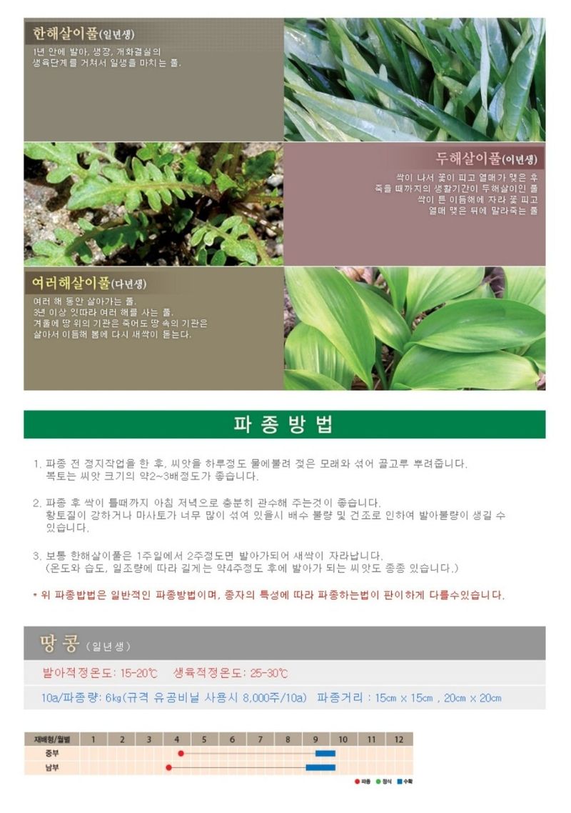 대산농사대장님의 장터 판매 상품 [땅콩씨앗30g] 첨부 사진