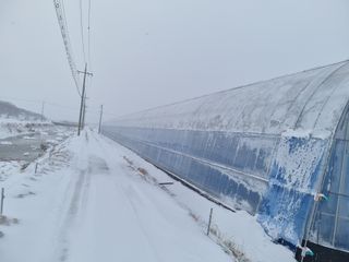선선농원님의 기타작물 · 영농일지 작성글 사진