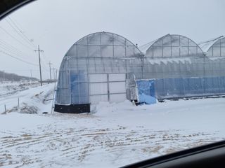 선선농원님의 기타작물 · 영농일지 작성글 사진