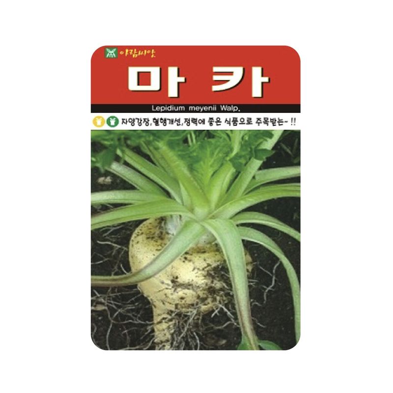 장터 상품 [[아람종묘] 마카 씨앗종자 황색마카 100립] 썸네일