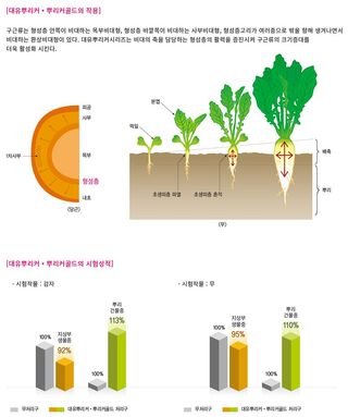 식물보호닷컴님의 작성글 사진