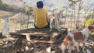 알 수 없음님의 두릅 · 일상 작성글 사진